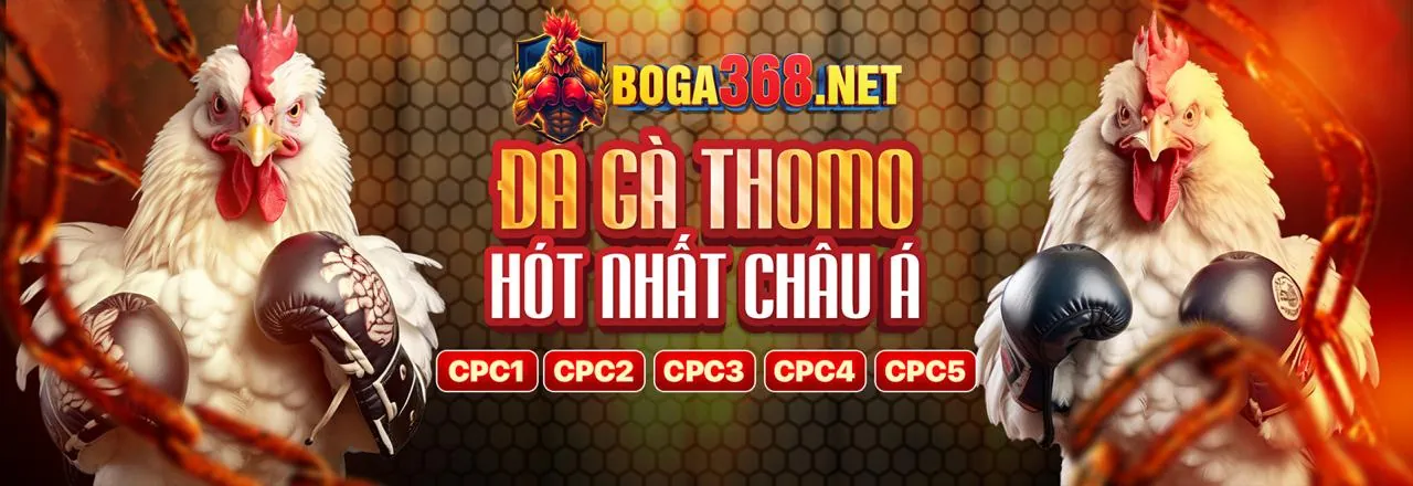 Hình ảnh chính của blog winwin01